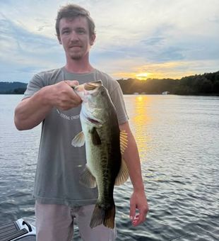Cast into Tennessee's legendary waters and reel in bass while enjoying breathtaking scenery.