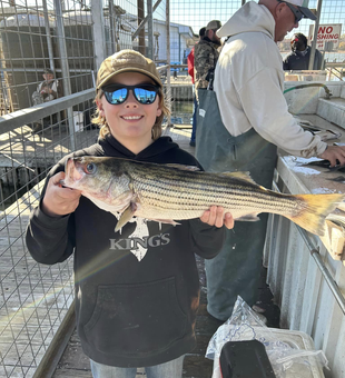 Texoma Tales: Striped Bass