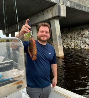 Tight lines in Weston.