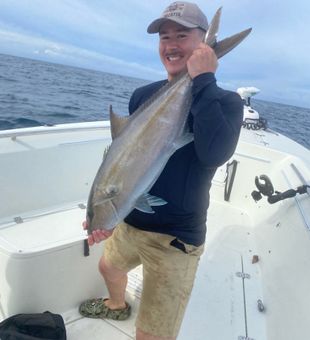Yellowtail Amberjack Bounty In Atlantic Beach, NC