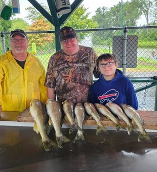 Nice Lake Erie walleye catch | NY fishing charter