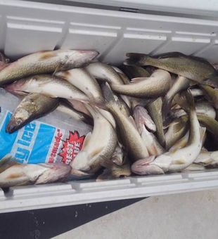 Best Bass Fishing in Lake Ontario, Ohio