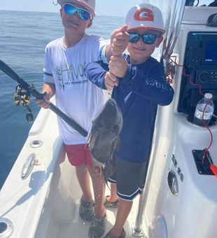 Unleash Thrills with PCB Fishing