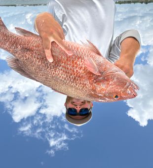 Palm Bay grey snapper making the trip worthwhile!