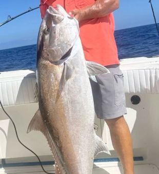 Impressive Greater Amberjack caught in Port Isabel waters!