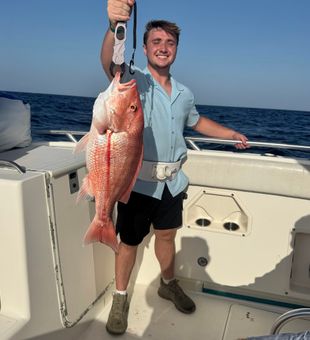 Beautiful Port Isabel red snapper makes the day!
