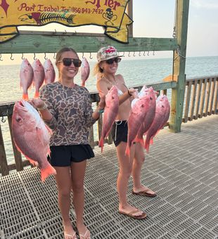 Port Isabel red snapper success at Pirates Fishing Pier!