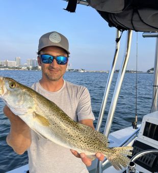 Early light, endless blue.