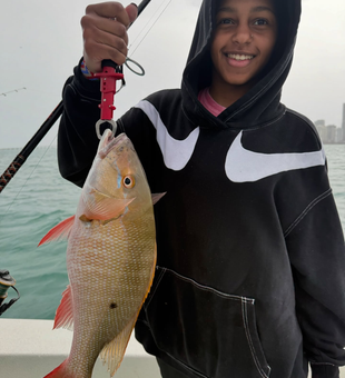 Snapper: Catch of the day, every day in FL!