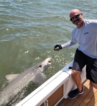 Shark Fishing In Mount Pleasant, SC
