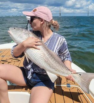 Good Catch Of Redfish From Inshore Fishing
