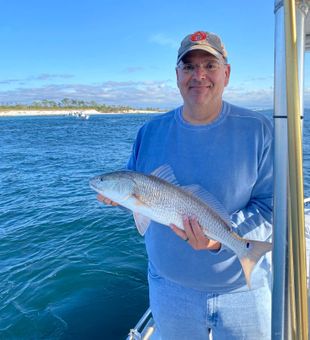 Great Inshore Run in Panama City Beach