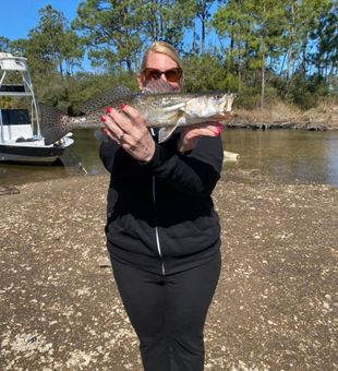 Fishing for Sea Trout in Florida