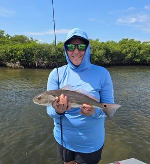 Trophy Redfish from Crystal River flats