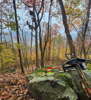 A perfect weekend of Kentucky deer hunts.