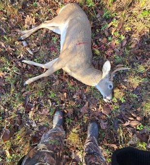 Affordable Kentucky hunting trips with a guide.