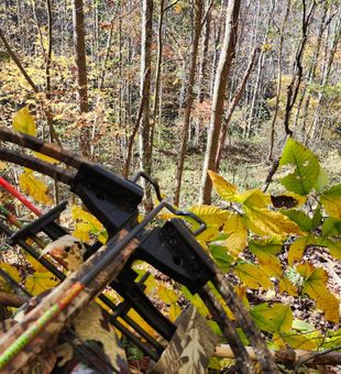 Kentucky private land deer hunts are the best.