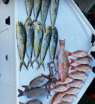 Sun, sea, and big fish thrills in Bradenton Beach 