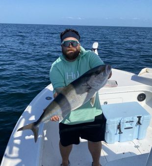 Greater Amberjack Catch in Bradenton Beach Fishing