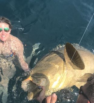 Fishing Bradenton Beach Groupers Trophy! Book now!