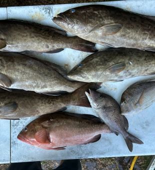 Local fishing at its finest in Carrabelle Florida
