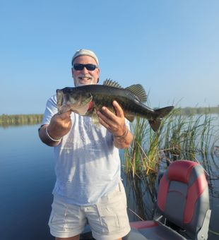 Largemouth Bass