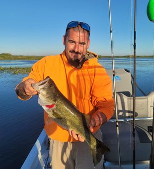 Finest lake fishing in Florida, fishing bass