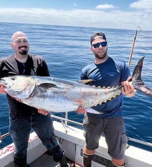 Mystic Queen Sportfishing