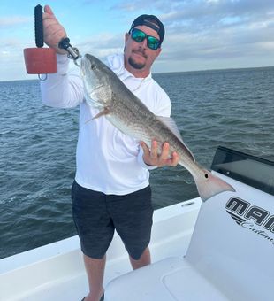 Light tackle, local knowledge