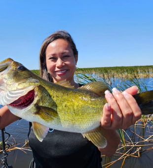 Bass whisperer on the hunt again