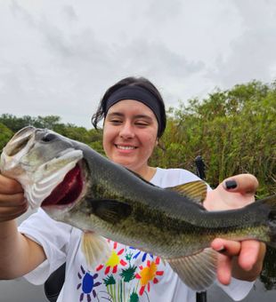 Florida largemouth highlight from Lake O