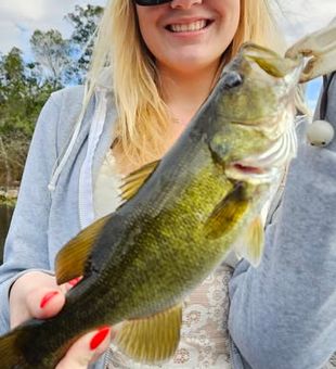 Trophy bass fishing on Lake Okeechobee, FL.