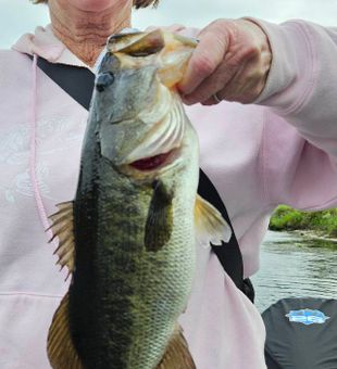 Nice bass caught in South Bay FL waters!