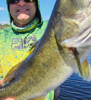 Okeechobee bass putting up a great fight