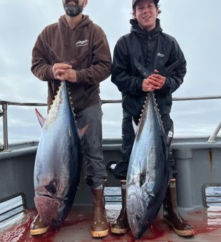 California Dreamin' on Charters, Tuna