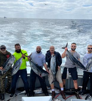 Explore LA with Fishing Charters!, Tuna