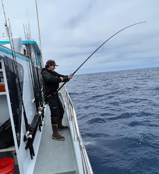 Casting Fun in California