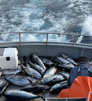 Charters: LA's Finest Fishing