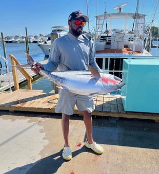 Bluefin Tuna Wanchese NC fishing