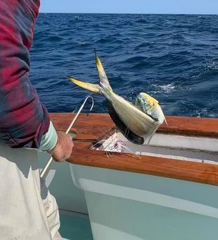  Wanchese NC fishing charter