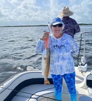 Cindy Lipke with a nice 24” Crystal River redfish on this morning’s trip! 
#plantationoncrystalriver #crystalriverfishing #crytalriverfishingcharter #redfishcrystalriver #plantationadventurecenter #dancopliers #tactacam #powerpole #mercuryprotean