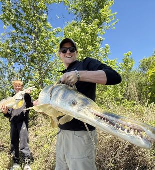 Monster alligator gar landed in Houston waters!