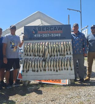 Walleye Bites in Lake Erie Waters