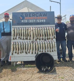 Lake Erie Walleye Catch of the Day