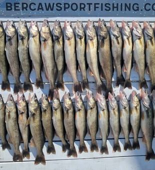 Lake Erie fishing adventures with endless action and unforgettable views.