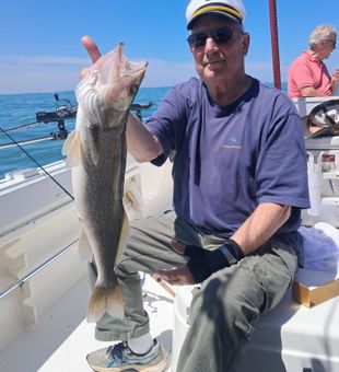 Nice walleye from Port Clinton waters!