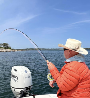 Massachusetts Fish Fun