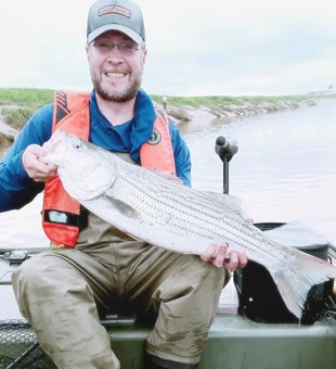 Beautiful striped bass from Lantz NS waters!