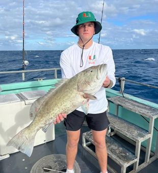 Solid gag grouper on a Fort Lauderdale fishing charter