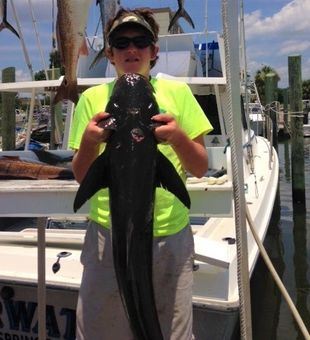 Deep Dive: Biloxi Fishing Adventures!